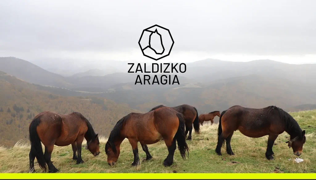 marca-zaldizco-cocostudio